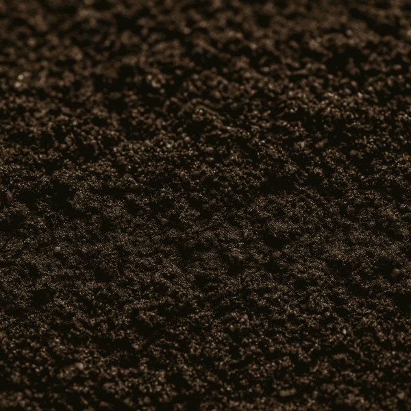 Seed starting mix showing ideal moisture level for germination