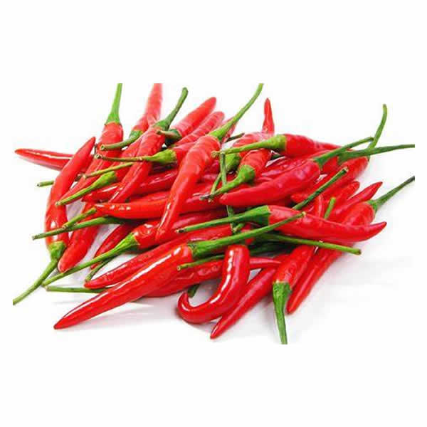 Birds Eye Chili Pepper Seeds styled presentation