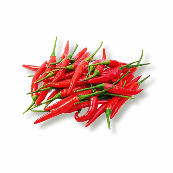 Basket of Fire Chili Pepper Seeds styled presentation
