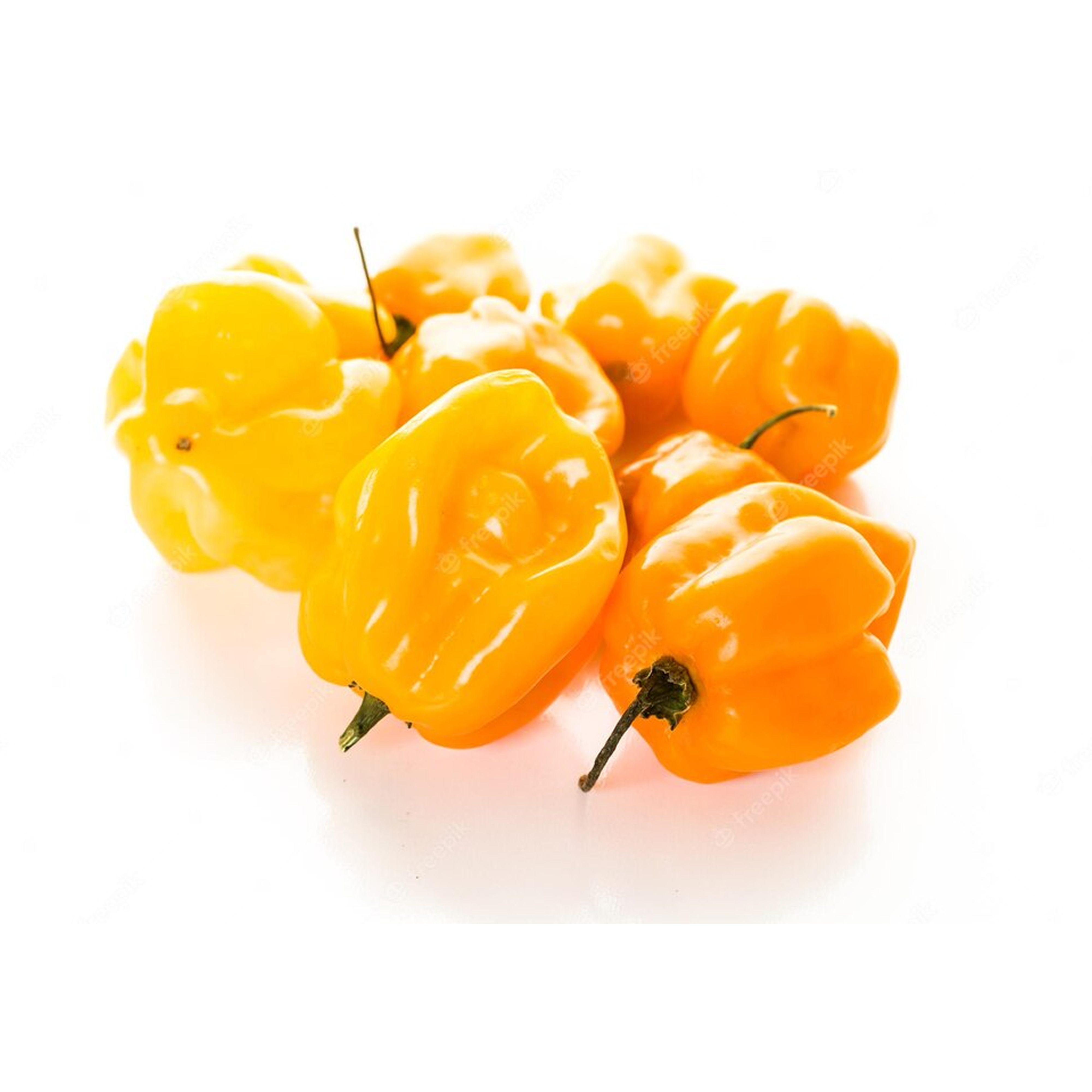 Habanero Yellow Chili Pepper Seeds styled presentation