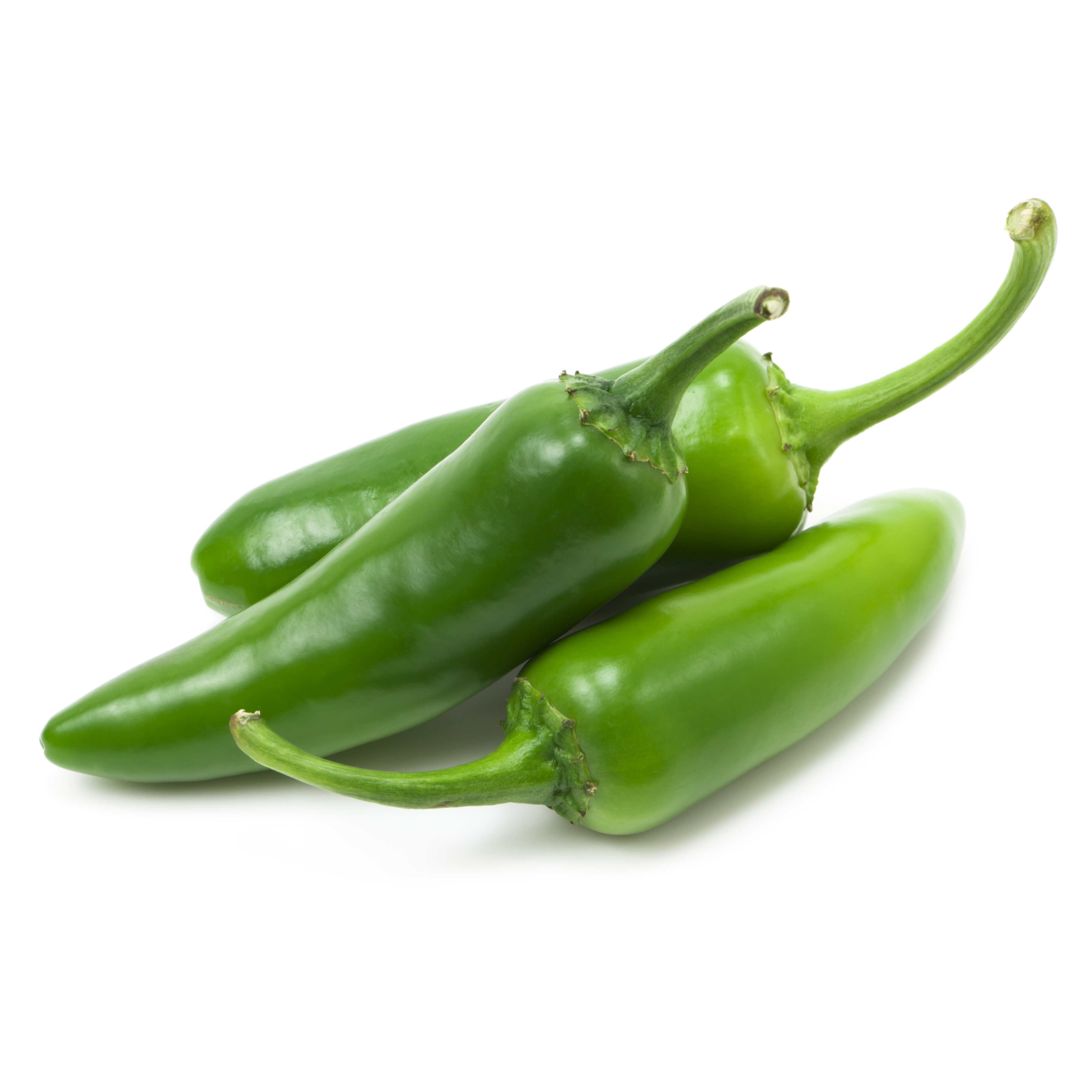 Jalapeno Chili Plant Seedling styled presentation
