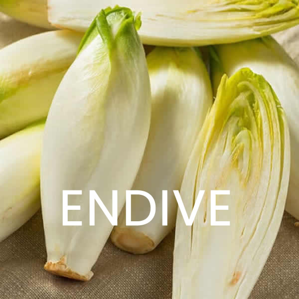 Complete Lettuce Seeds Multi-Pack styled presentation