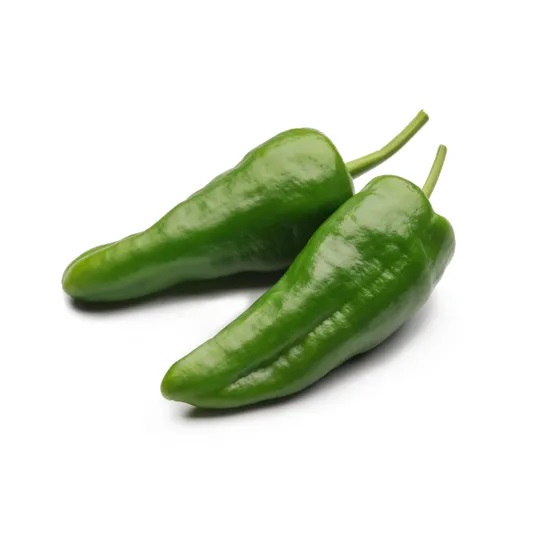 Padron Chili Plant Seedling styled presentation