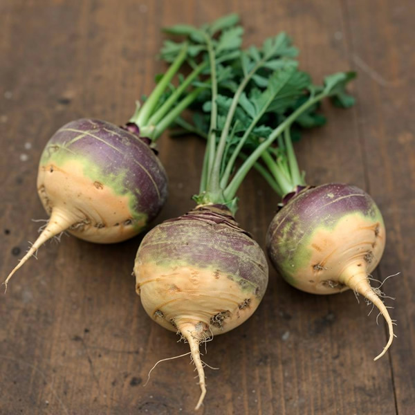 Best Of All Swede Seeds main image