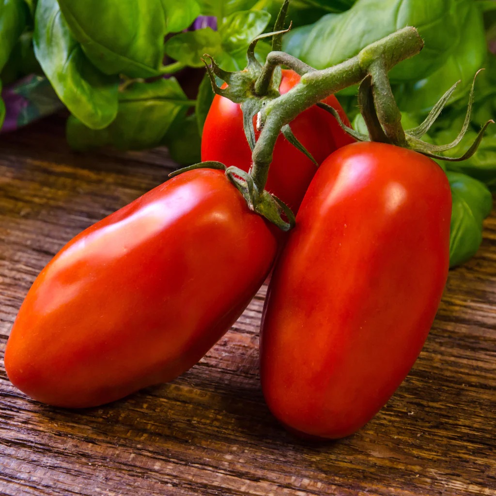 San Marzano Heirloom Tomato Seeds main image