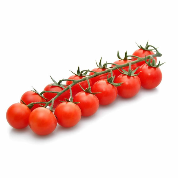 Juanita de Rama Tomato Seeds growing on plant