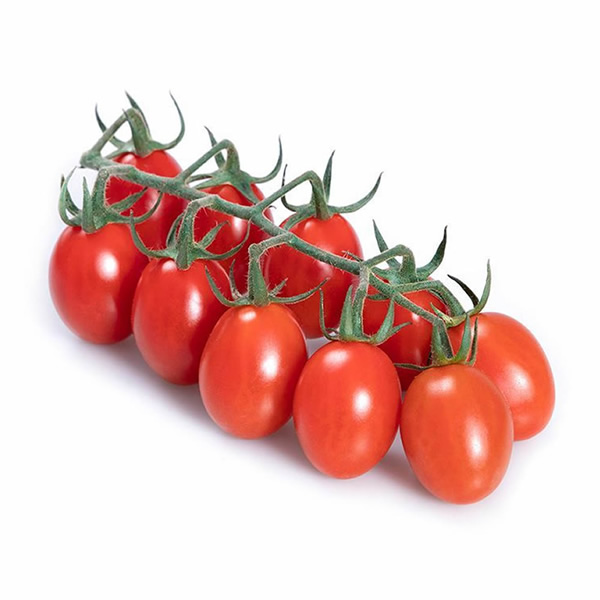 Solemio Tomato Seeds growing on plant